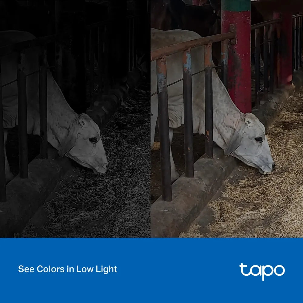 Cámara exterior Tapo C320WS con 2K QHD, visión nocturna a color, conexión Wi-Fi o cable, audio bidireccional, detección y alarma. ¡Compra segura!